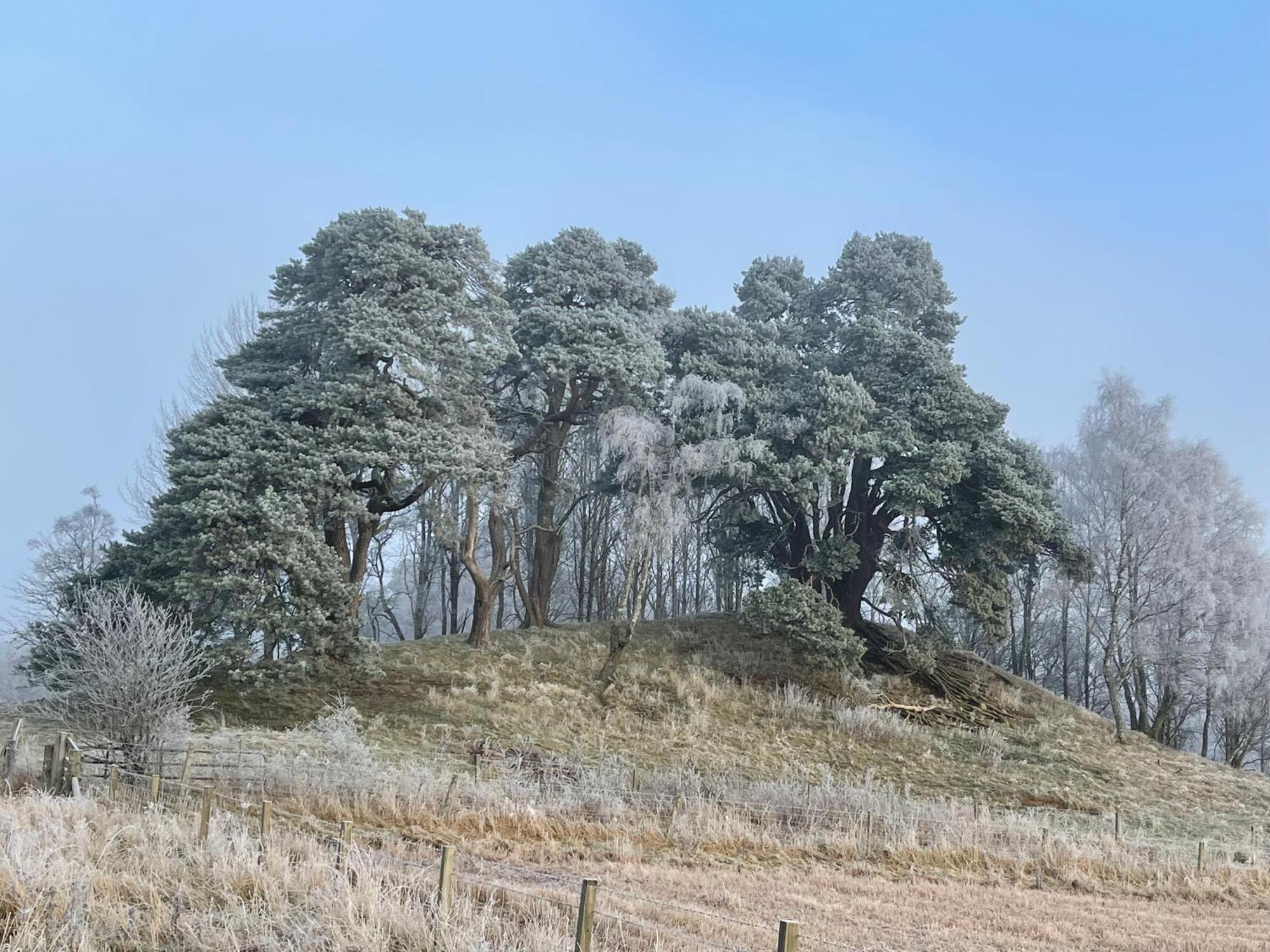 Coppice Cottage Grantown-on-Spey Exterior photo